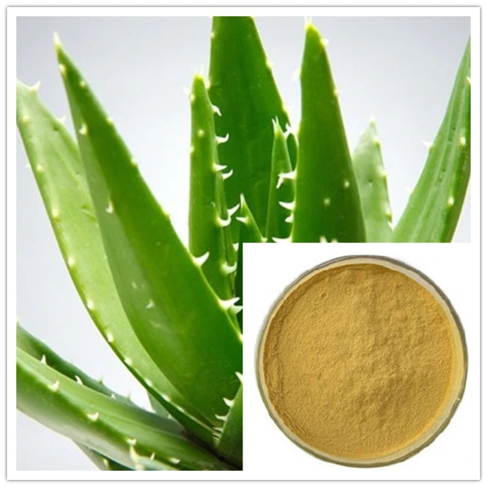 Aloin Manufacturer Supply 100% Aloe Vera Extract Aloe Vera Extract Powder/plant extract