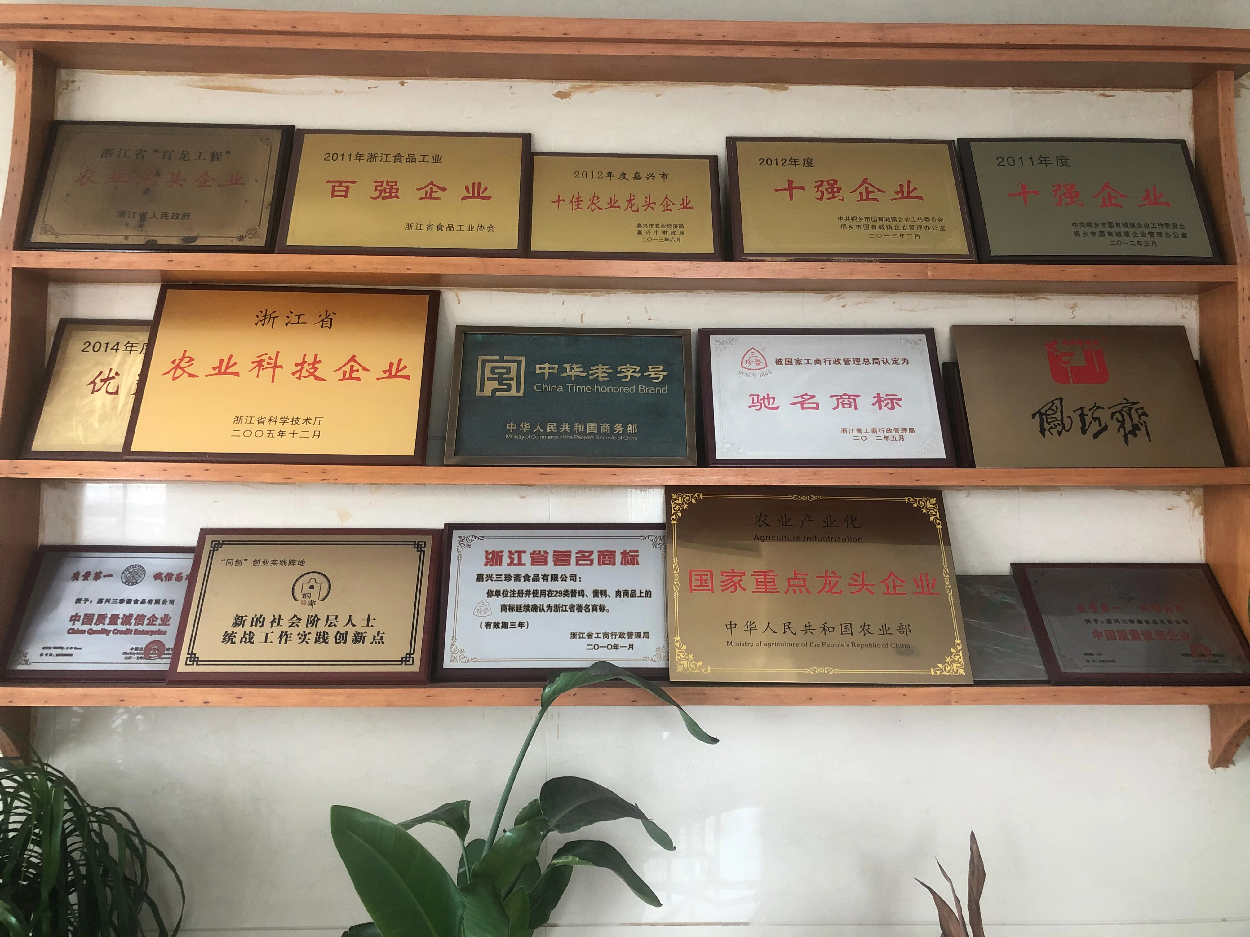 Brix.28-30% canned  tomato paste with 400g in China