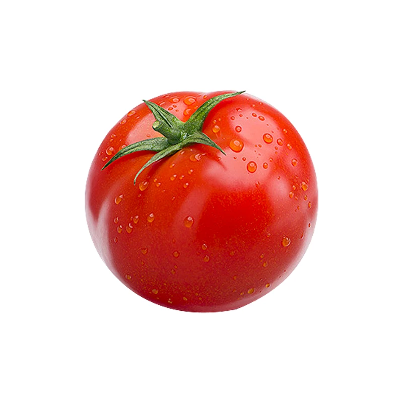 New China Juicy Manufacturer Certified Sweet Tomatoes In Large Quantity Packs