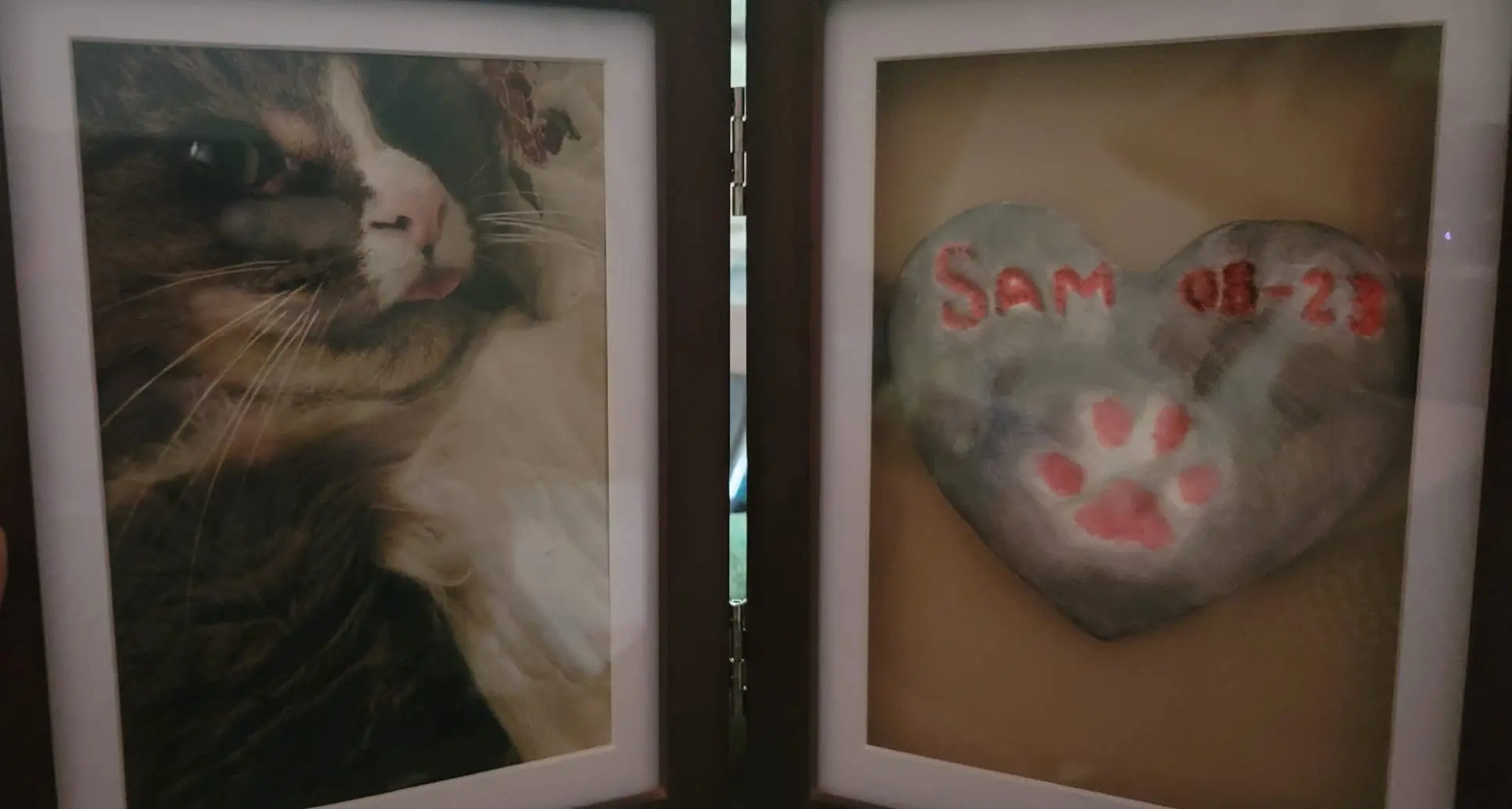 Собака или кошка Pawprint pawsake комплект для сувениров фоторамка Премиум деревянная форма фото глиняная печати лап Бонус Трафарет делает
