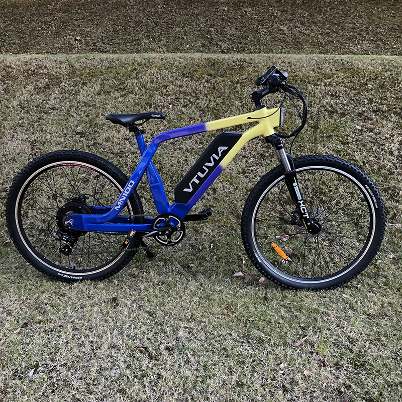 Hot e bike china manufacturer customized 13Ah electric bike 36V/48V 1500W/1000W/500W electric bicycle mountain bike