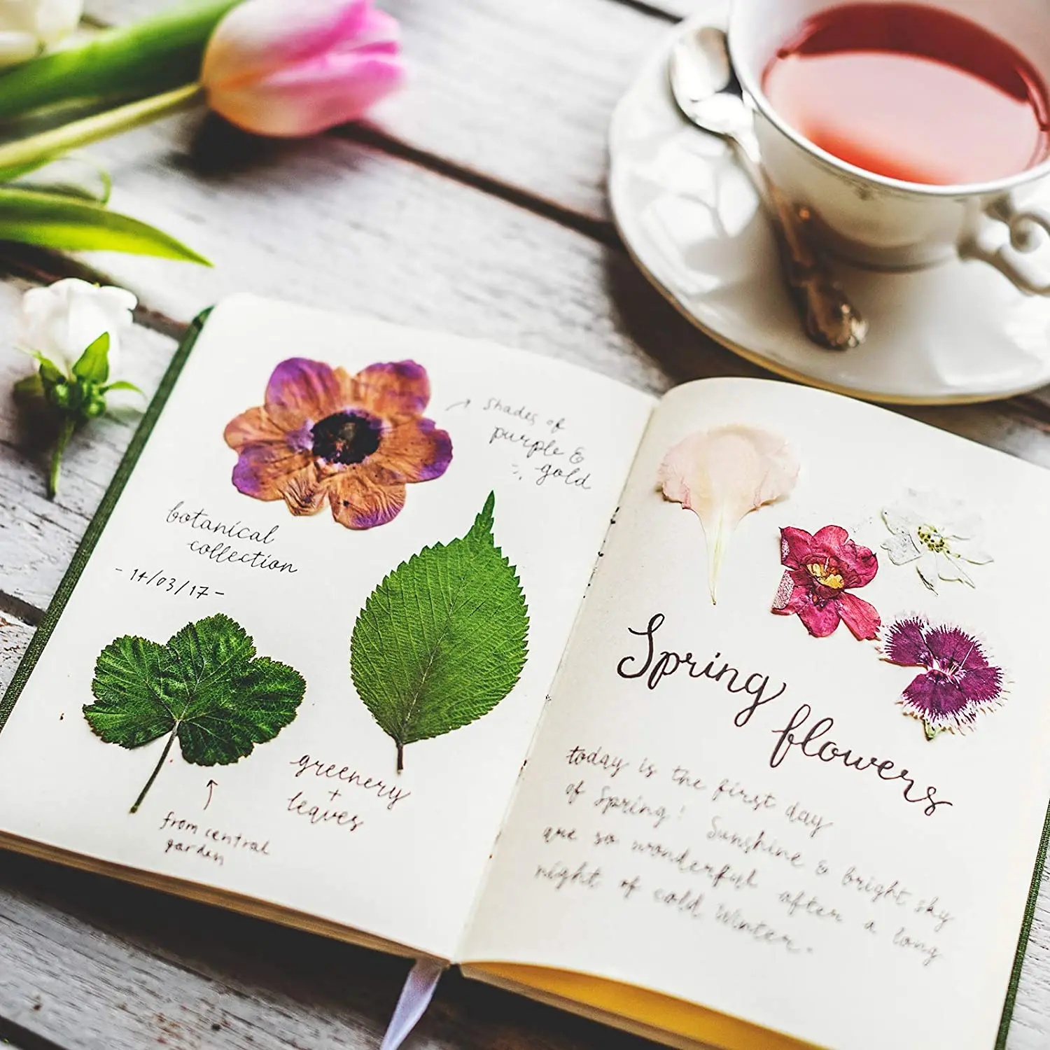 Real Dried Flowers Leaves and Butterfly Stickers Set Multiple Pressed Dry Flowers Colorful Natural Daisies Flowers