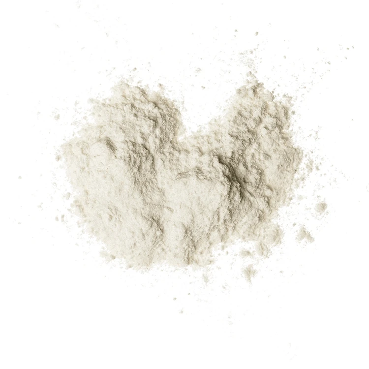 Hot Selling Good Quality Cereal Products Chicken Essence Chicken Seasoning Powder Mix Powder