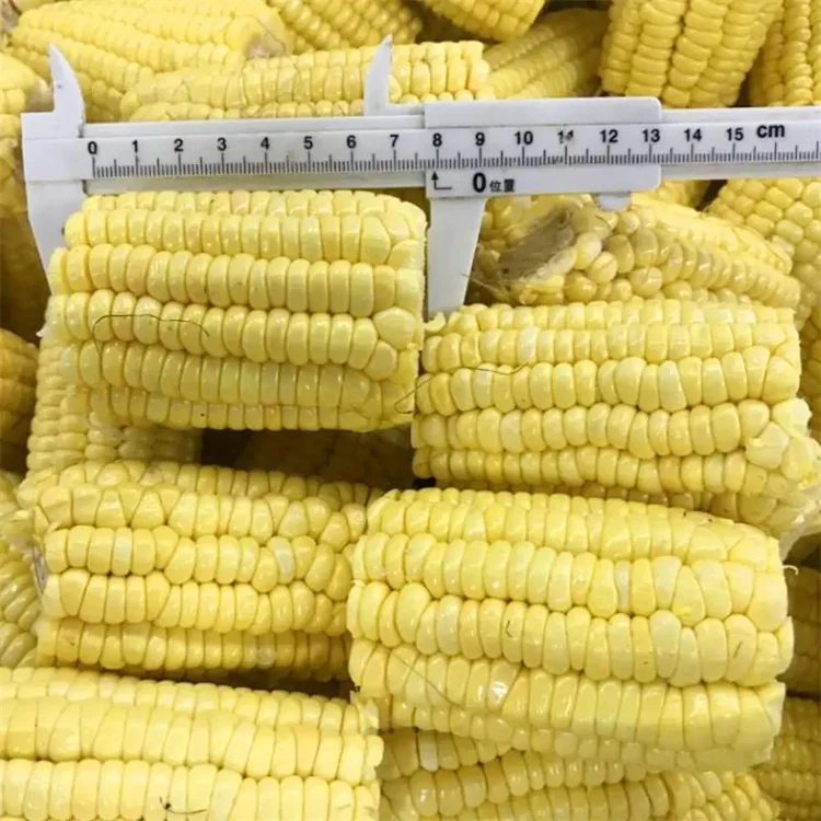Замороженная сладкая кукуруза на Cob 5-18 см IQF китайская WOHUA по низкой