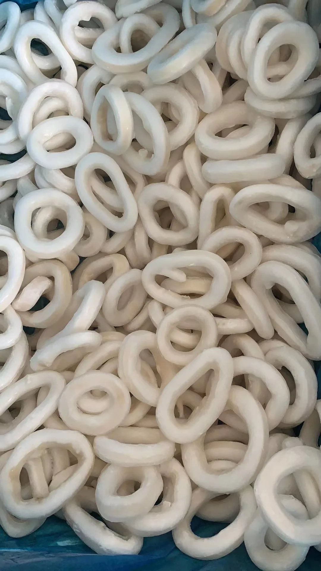 Skin Off squid ring new processing without skin squid ring good quality