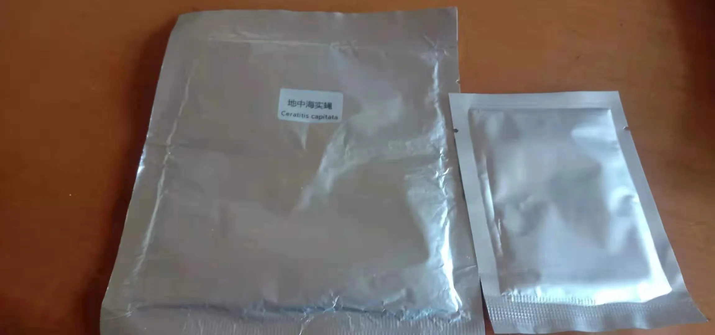 Приманка из цератта или приманка для средиземноморских фруктовых мух