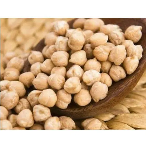 
Natural White Dried Kabuli Chana for wholesale India 