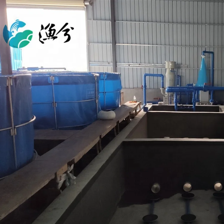 
Indoor portable canvas fish pond circulating water high density shrimp farming equipment 