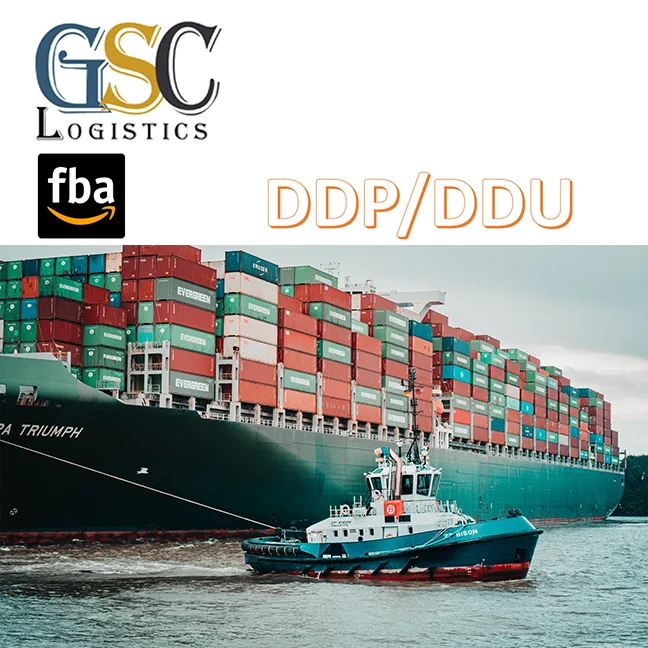 FCL/LCL shipping agent sea freight china to egypt door to door shipment