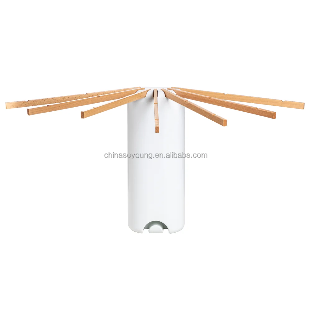 retractable clothesline.png