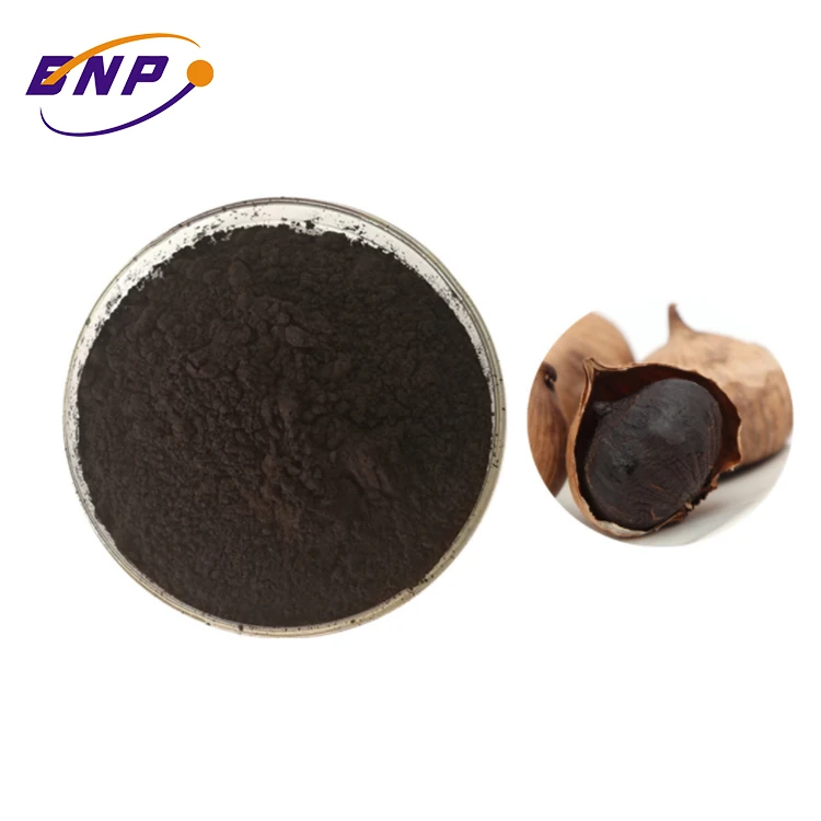 
Hot Selling Pure Natural Aged Black Garlic Extract Powder For Anti-Oxidation fresh garlic allicin 