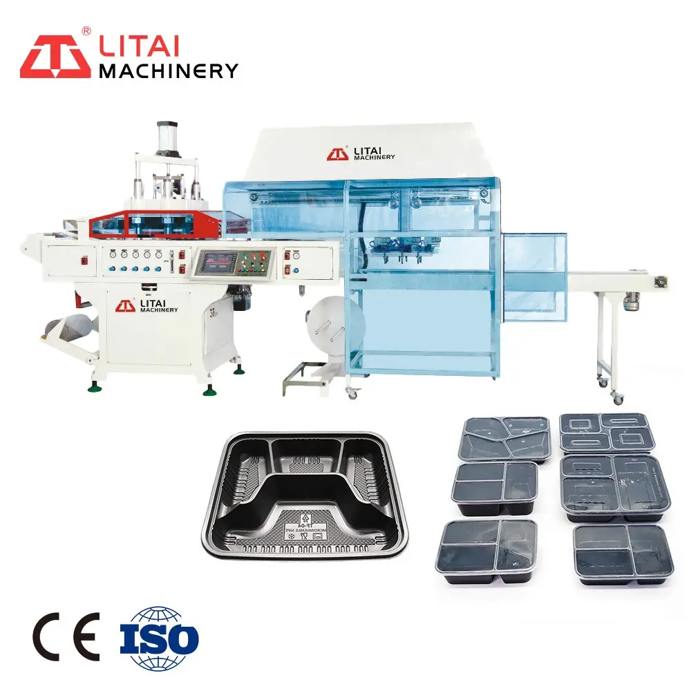 PP BOPS PS PVC Products Take Away Food Box Strawberry Tableware Thermoforming Machine Making