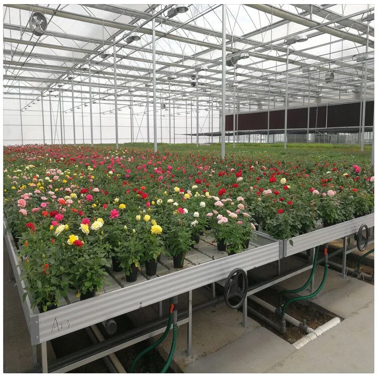 Food Grade ABS Panels Indoor Hydroponics System Ebb And Flow Table Rolling Bench