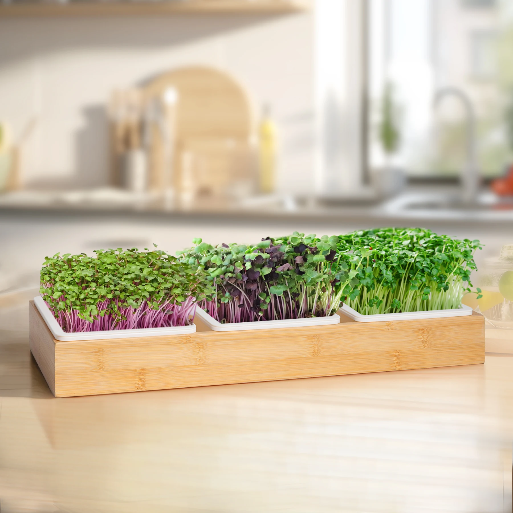 J&C Home Using Bamboo Made Trays Germinate Seed Easy Start Germination Tray Microgreens Harvest in 7 Days Grass Trays