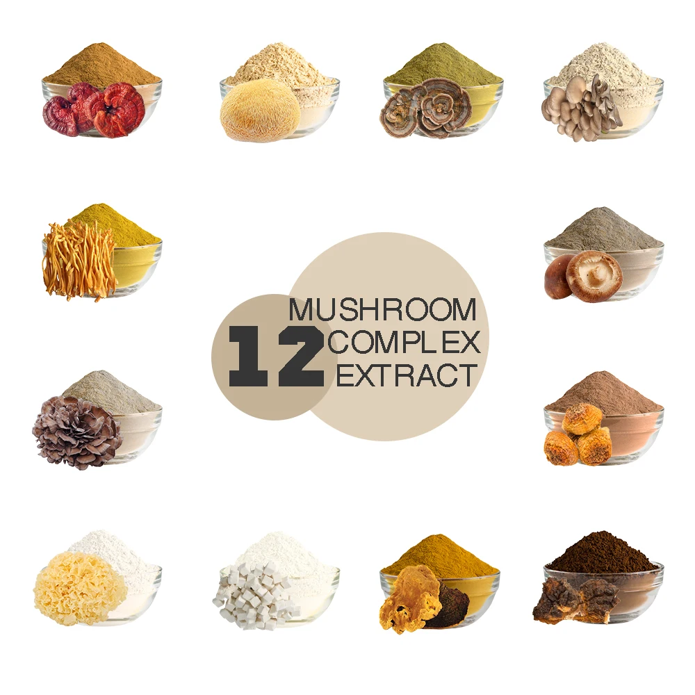 Hot Sell Mushroom Complex Bulk  Price Extract powder  Customization 12 kinds Mushroom Herbs OEM/ODM Capsule Bag Sachet Gummie