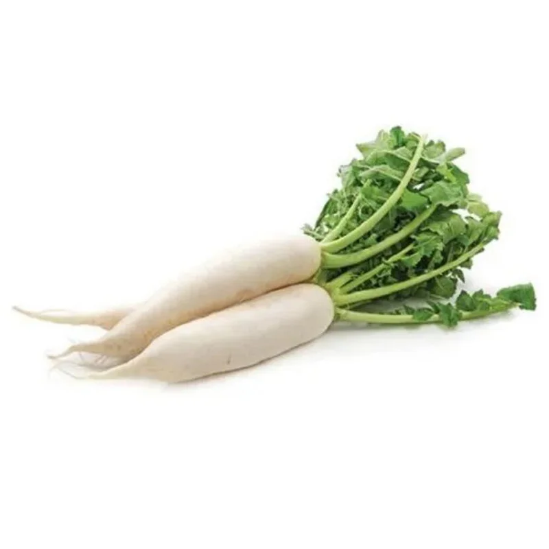 Other fresh vegetables of white daikon radish