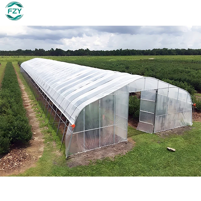 high quality custom modern steel frame lettuce double insulation planting agricultural greenhouse for mushroom cultivation