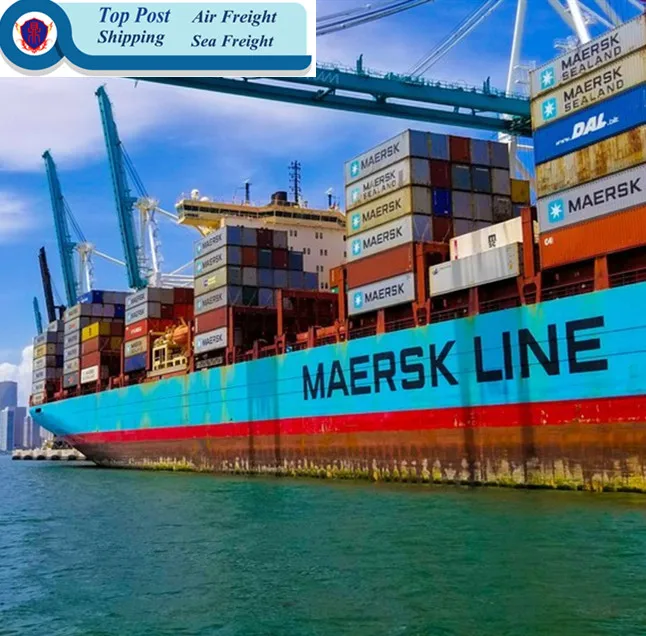 
China sea logistic agent and lower shipping rate/from China to Germany/France/Netherland/doorto doorDDPservice 