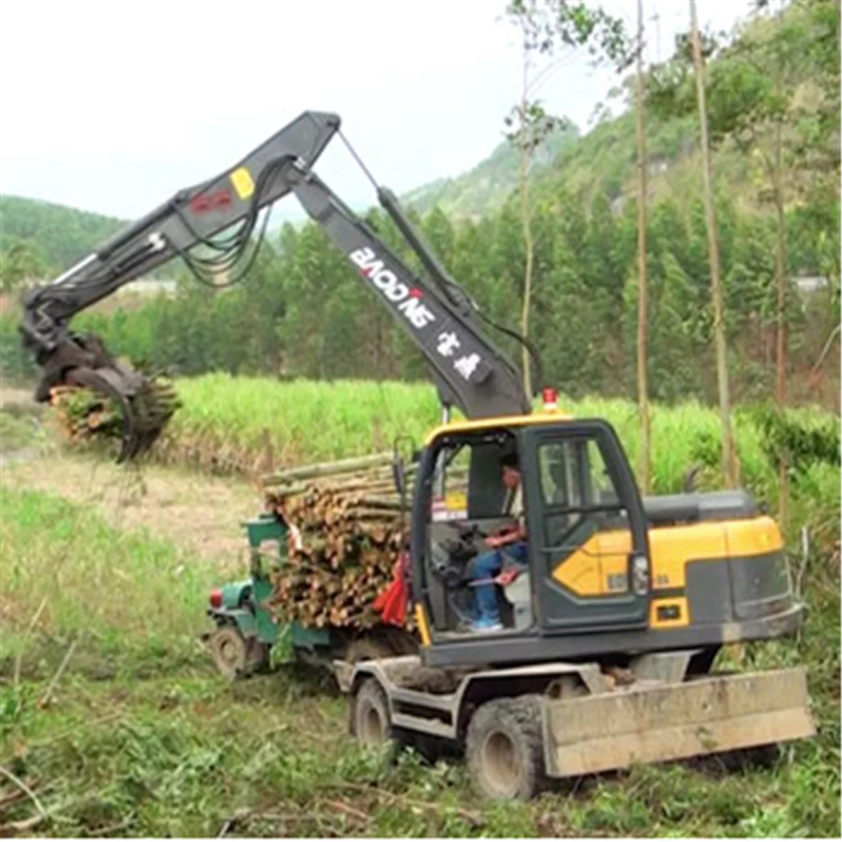 Forest wood loader machine wood log loader sale without trailer BD95W