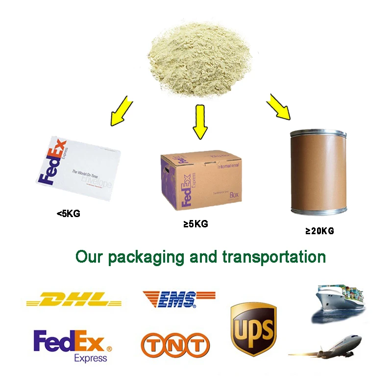 Food Grade Enzyme Preparation Dextranase 10000UG Nutrient Factor Dextranase