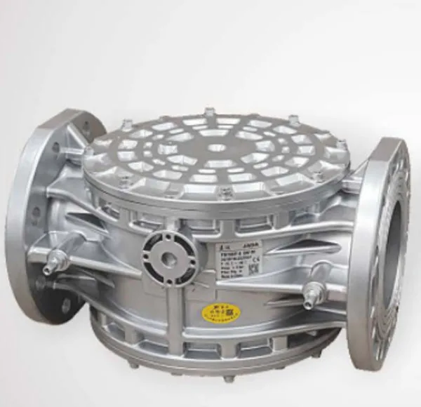 (aluminum alloy)natural gas filter(Made in China)GLS40L40-3