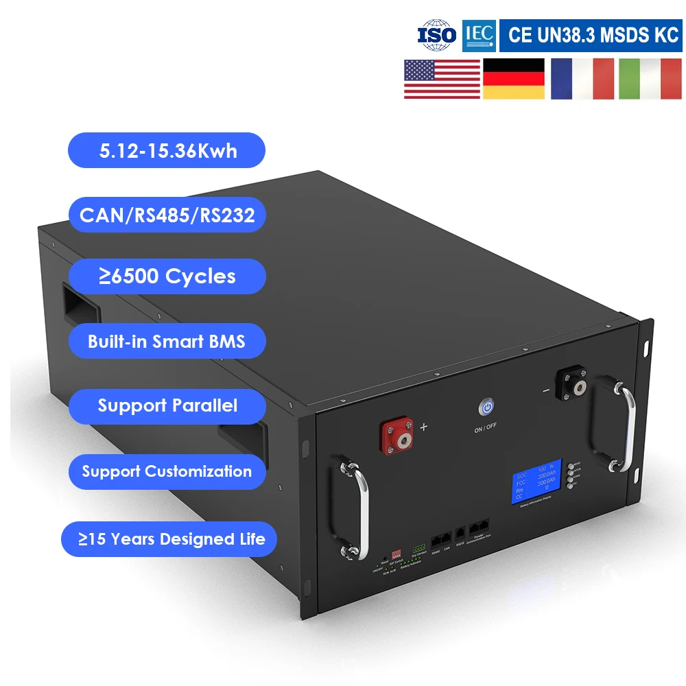 Standard 19 Rack mounted 51.2v 100Ah 200Ah 300Ah Lifepo4 Energy Storage Battery 5Kw 10Kw