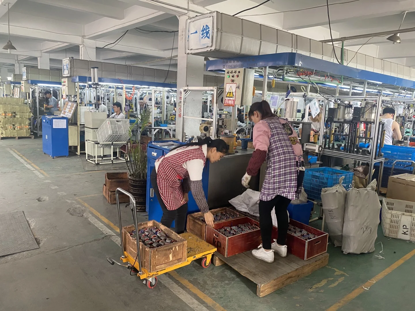 High quality wood cutting machine gasoline tree cutting cheap hot sale chain saw