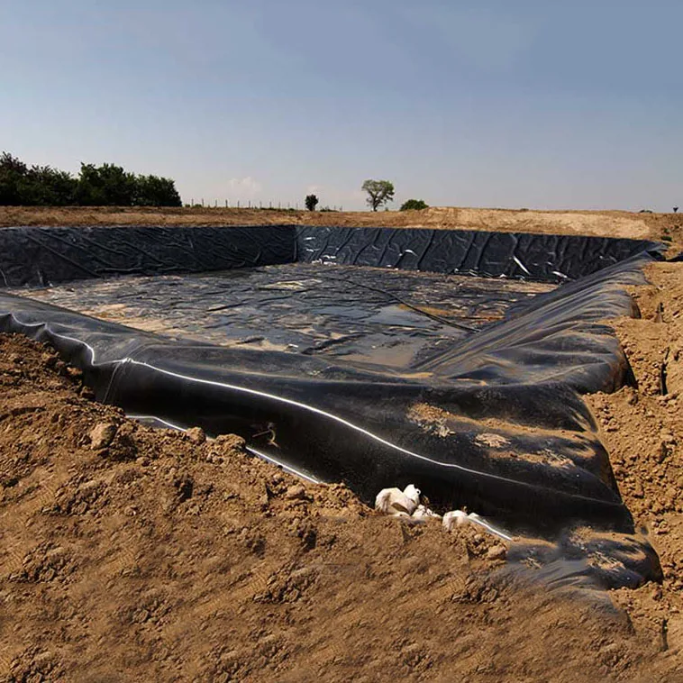 HDPE Plastic Membrane Sheeting 1mm Dam Liner 1.5mm HDPE Geomembrane 2mm Pond Liner Price for Mining Project