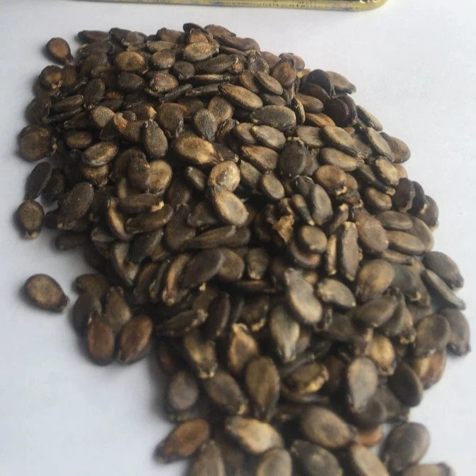 BLACK JING black skin f1 hybrid red watermlon seeds for sale