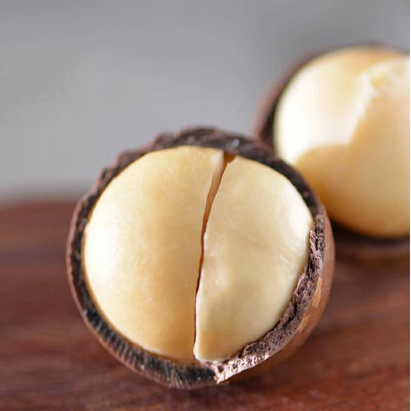 Macadamia Nuts Raw Salted Roasted Maca Powder Healthy Food Macadamia in Shell