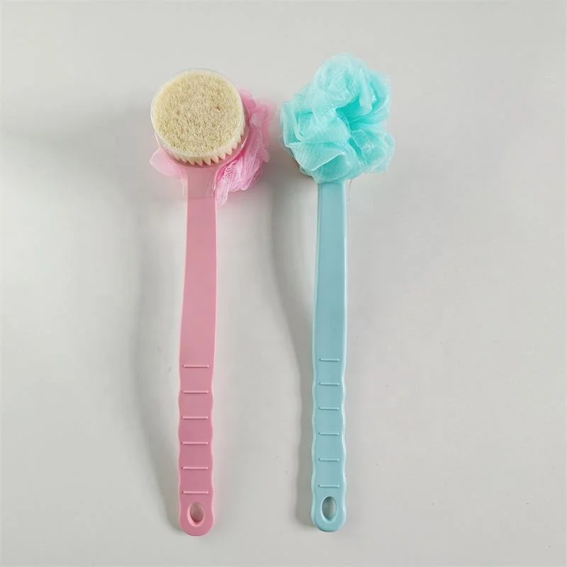 Shower body brush with bristles and loofah scrub brush