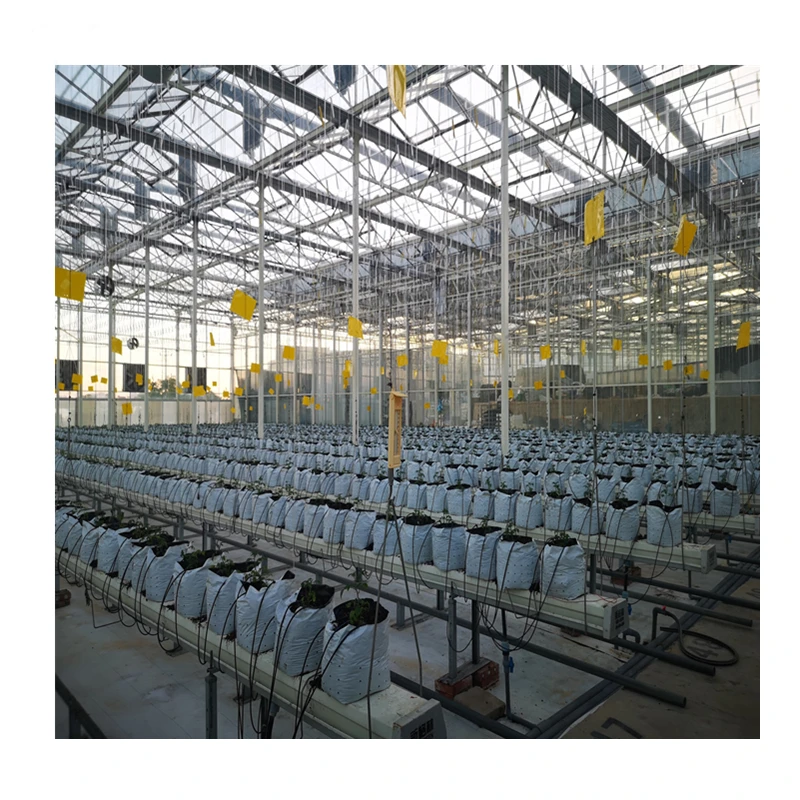 used sale and multi span agricultural greenhouses aeroponic tower garden vertical hydroponic system