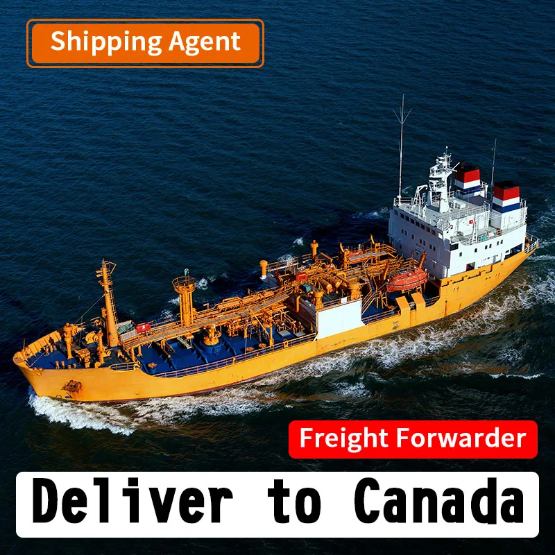 Best Price Service Door to Door DDP Sea Freight Shipping Rates to Canada Professional Freight Forwarder