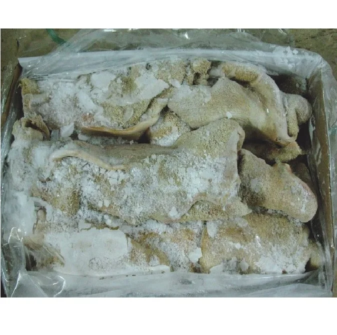 Beef tripe cleaned / cow stomach cleaned / beef Omasum Salted Beef Omasum Organic Halal Cow tripe