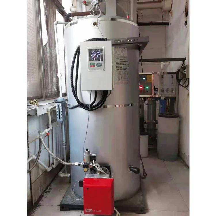 Small Gas Fired Steam Boiler100kg 200kg 300kg 600kg Vertical Diesel Oil Steam Generator Boiler for Sale
