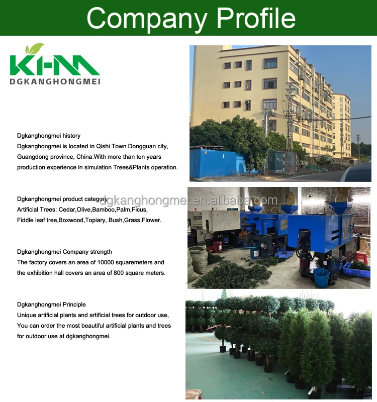 company profile