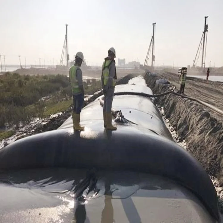 Woven Geotextiles High Tenacity Sludge Dewatering Geotube Courtyard Graphic Design Modern 3D Model Design Onsite Training