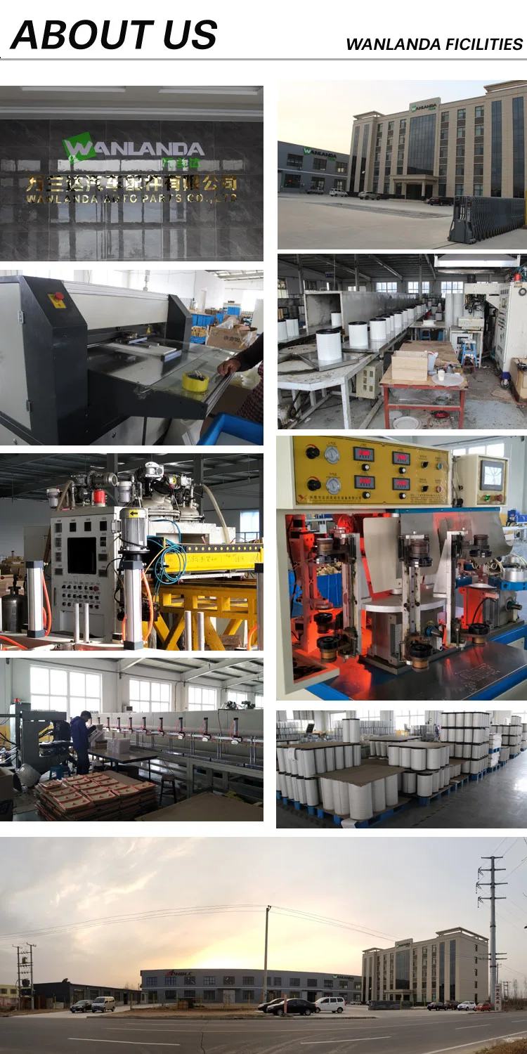 Factory wholesale WANLANDA brand Fuel Filter For Mercedes-Benz OE NO. PL420