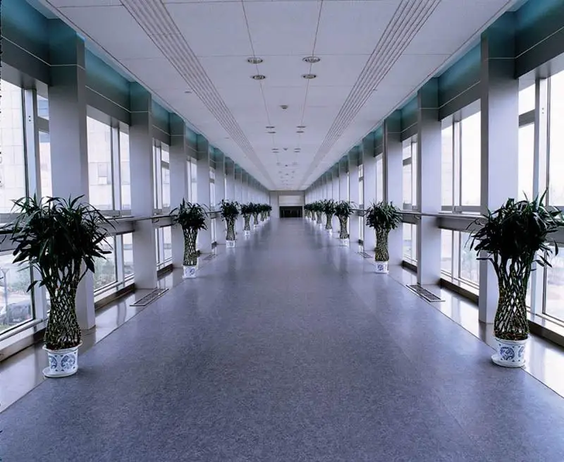 Green Topcoat Modified Aromatic Amine Epoxy Hardener D3360 Used in Epoxy Floor Self-leveling