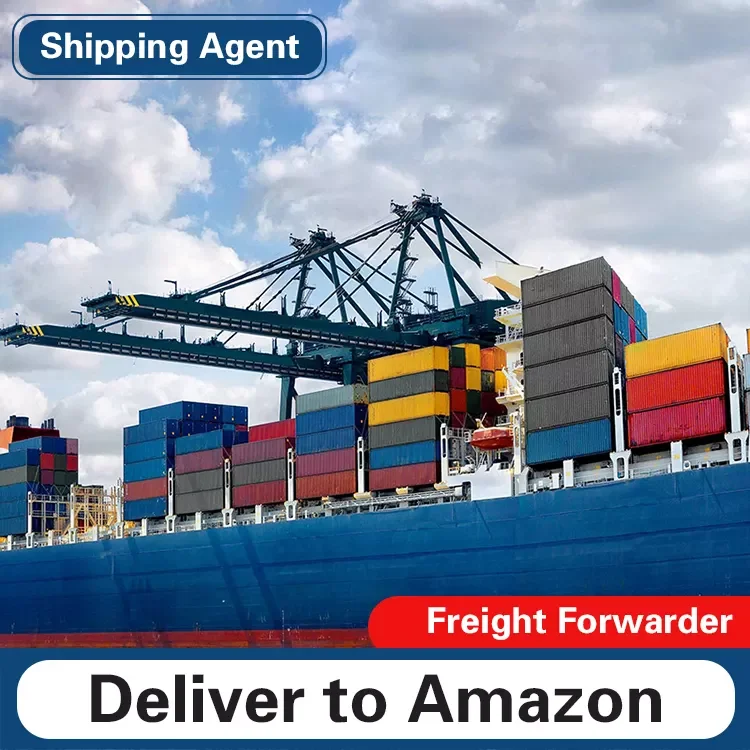 China logistics sea freight shipping services cheap goods from China to Mexico DDU DDP services