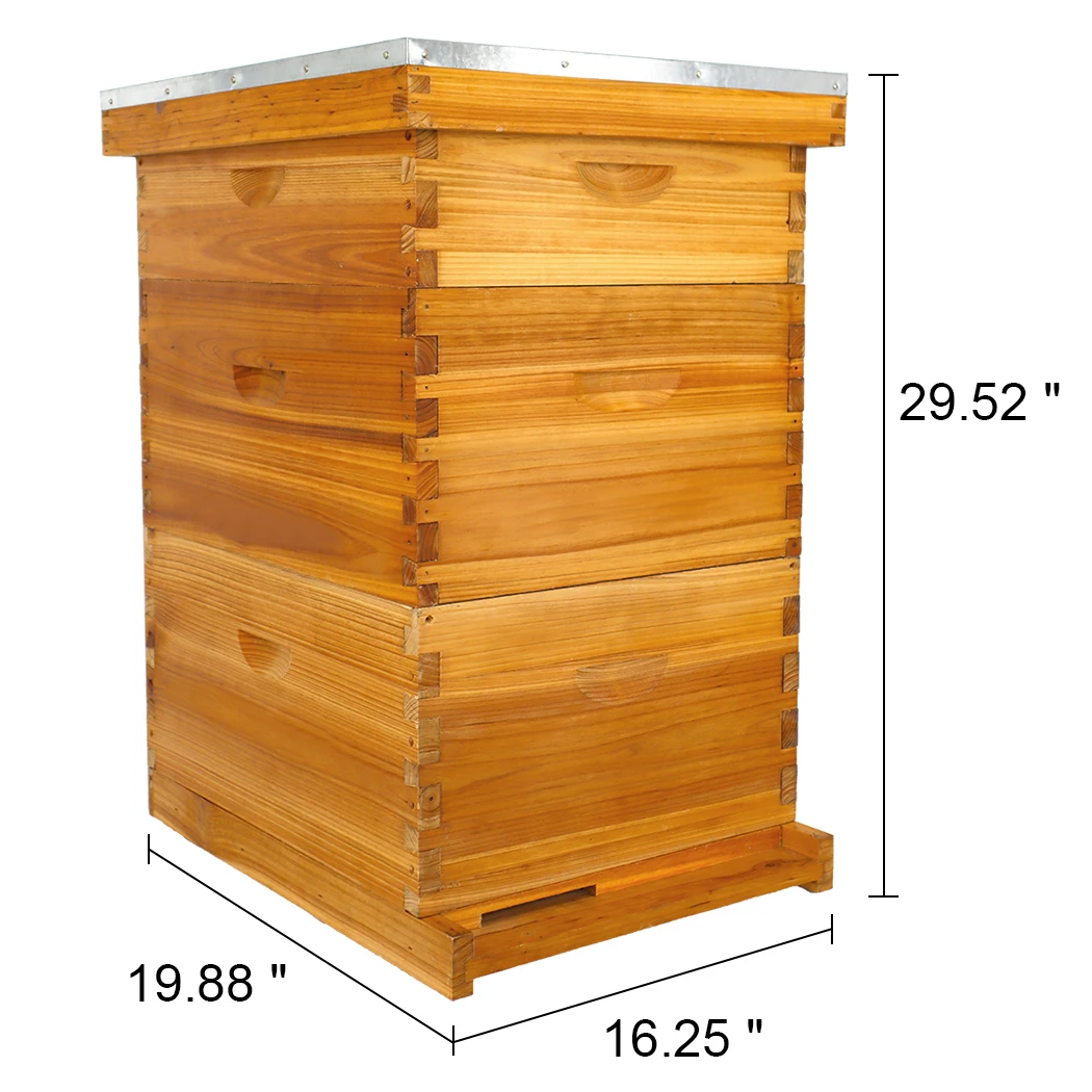Hot sale wax coated wooden bee hive complete langstroth beehive 10 frames