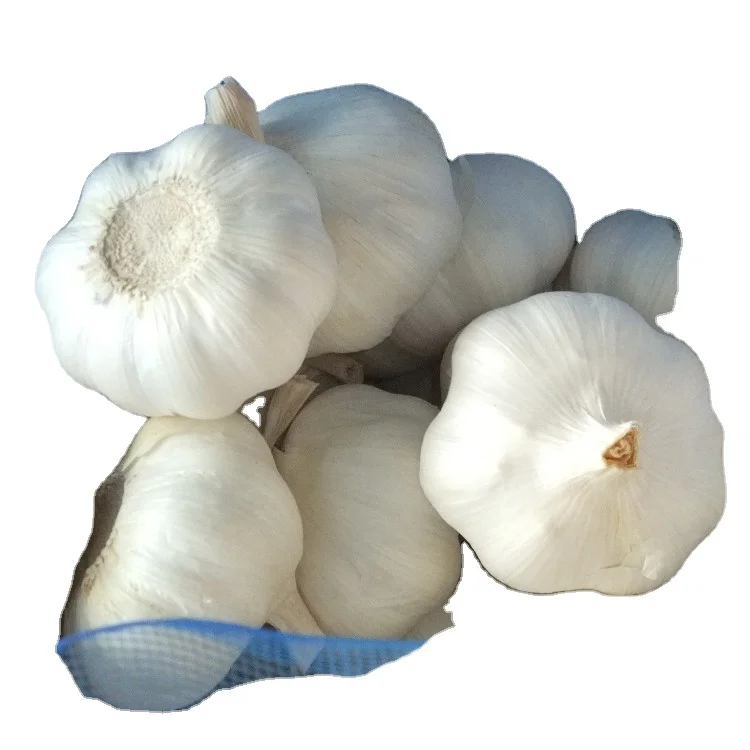 China/Chinese Fresh White Garlics Supplier (red garlic/white garlic) 500G/1KG