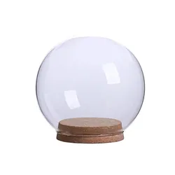 Home Decor Hand Made Clear Borosilicate Round Globe Glass Ball  Display Dome Cloche Cover with Wood Cork Base