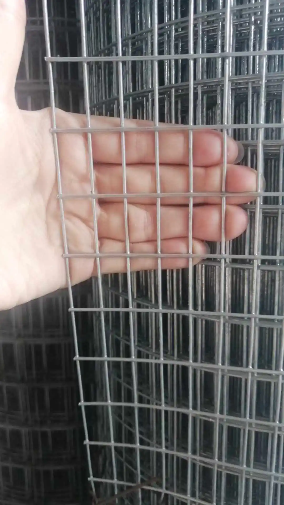 cheap Price Bird Cage Mesh Fabric 2*4  welded wire mesh black small galvanized 1/4chicken wire