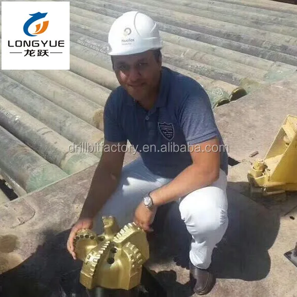 High quality 12 1/4' pdc drill bit for sandstone drilling