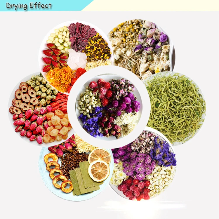 Fruit Dehydrator Machine Dryer Dehydrated 22 Layer Food Vegetable Dehydrator