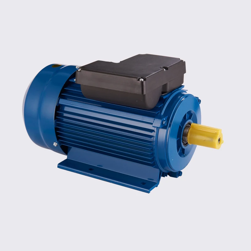 single-phase electric motor