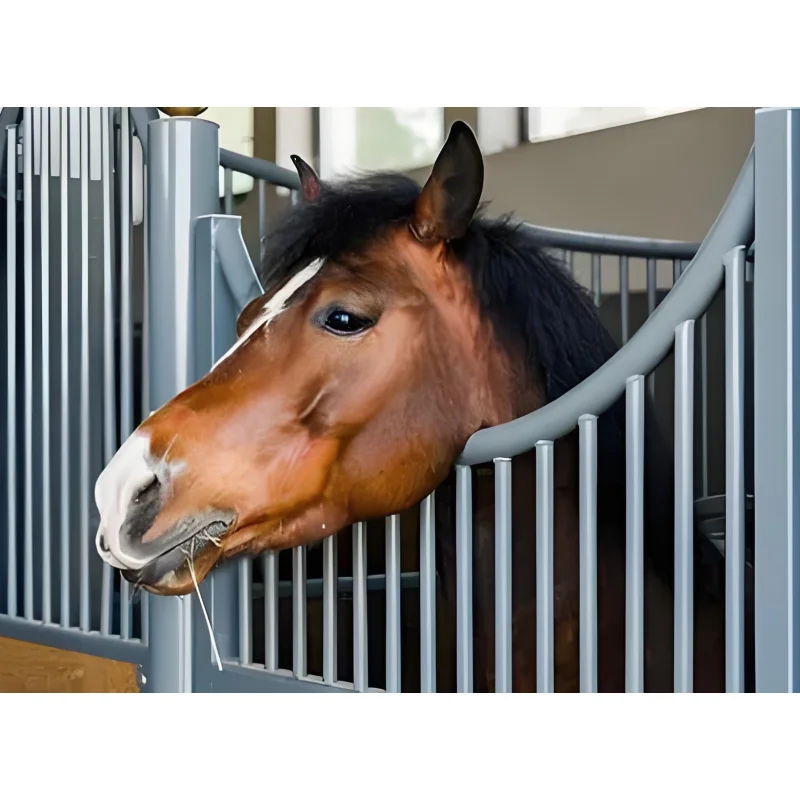 Wholesale Durable 10ft 12ft 14ft Horse Stable Stall Good Ventilation Reliable Frame High Durability Horse Box