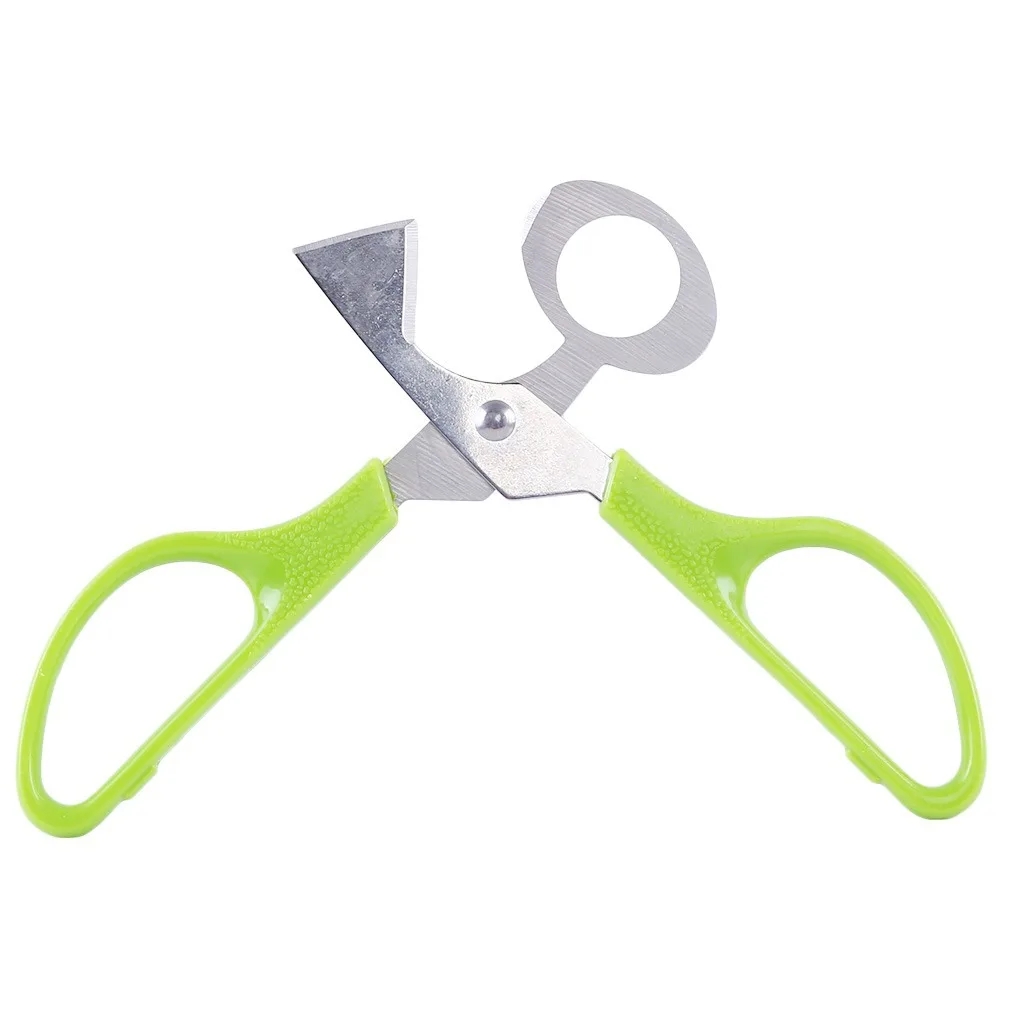 Wholesale Price Hot Sale Plastic Handle Kitchen tool Kitchen Scissors Quail Egg Scissors