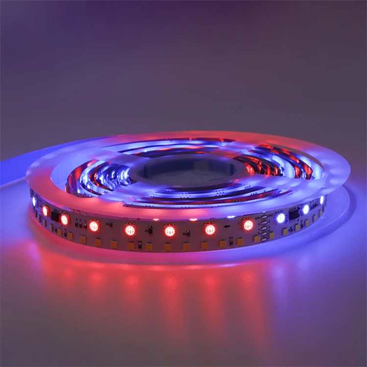 china factory DMX512 SMD5050RGB 2835W adjustable fullcolor Addressable programmable 120LED DC24V 15mm flexible Led strip Light